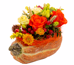 Arrangement Herbstleuchten