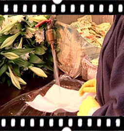 5. Water For The Ride