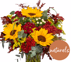 naturals: Rustic Sunshine