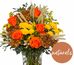 naturals: Countryside