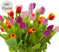 Tulpenstrauß Tulpenstrauß