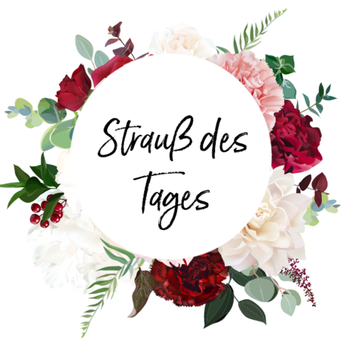 Strauß des Tages von bestellen