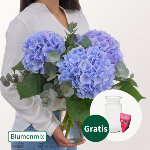 Blaue Hortensien mit Eukalyptus