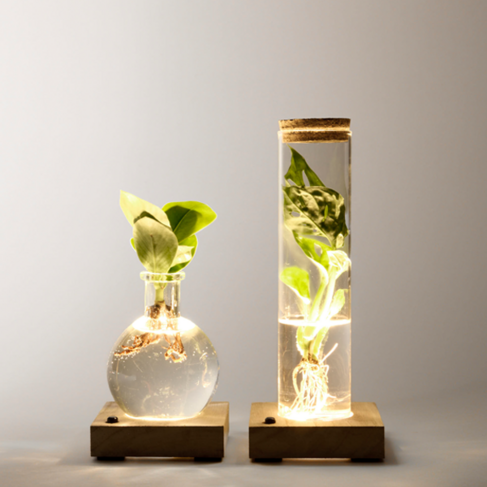 2er-Set Waterplants mit LED-Lichtern