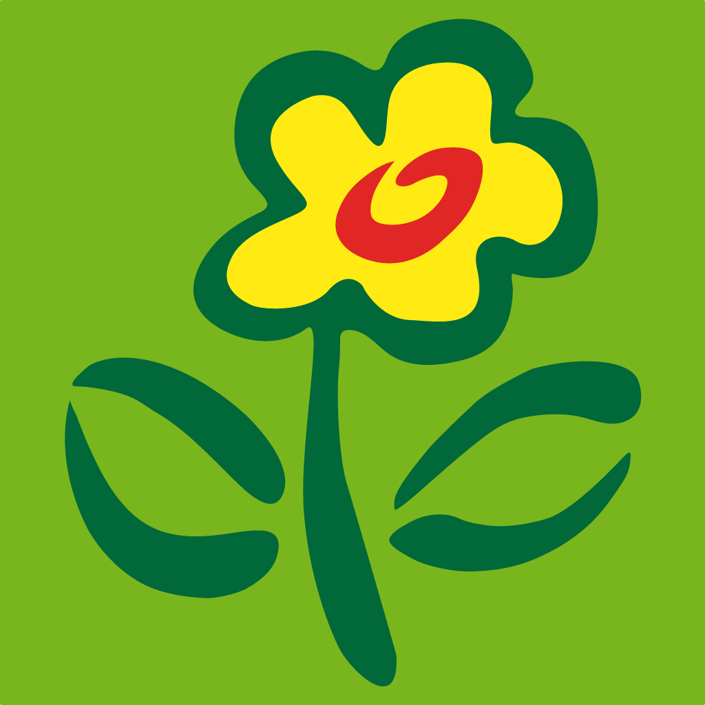 Grabstrauß in Herzmanschette Protea Blumen Online