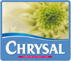 chrysal